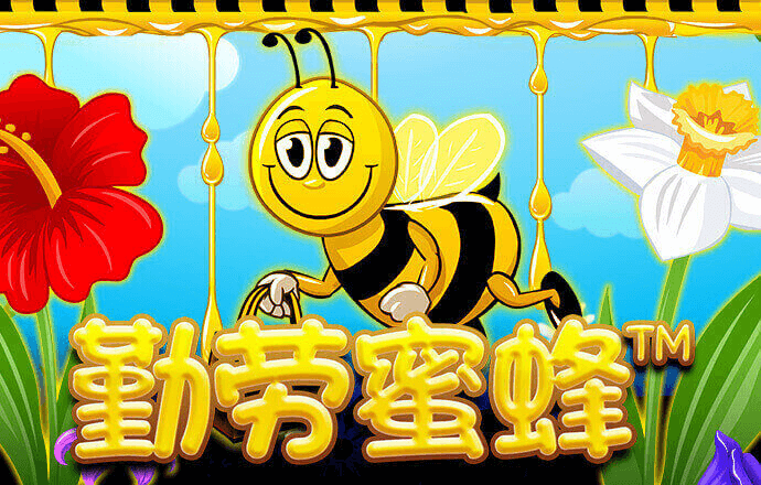 c7体育